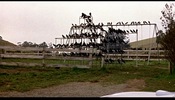 The Birds (1963)Bodega Lane, Bodega, California, Potter School House, Bodega, California and birds
